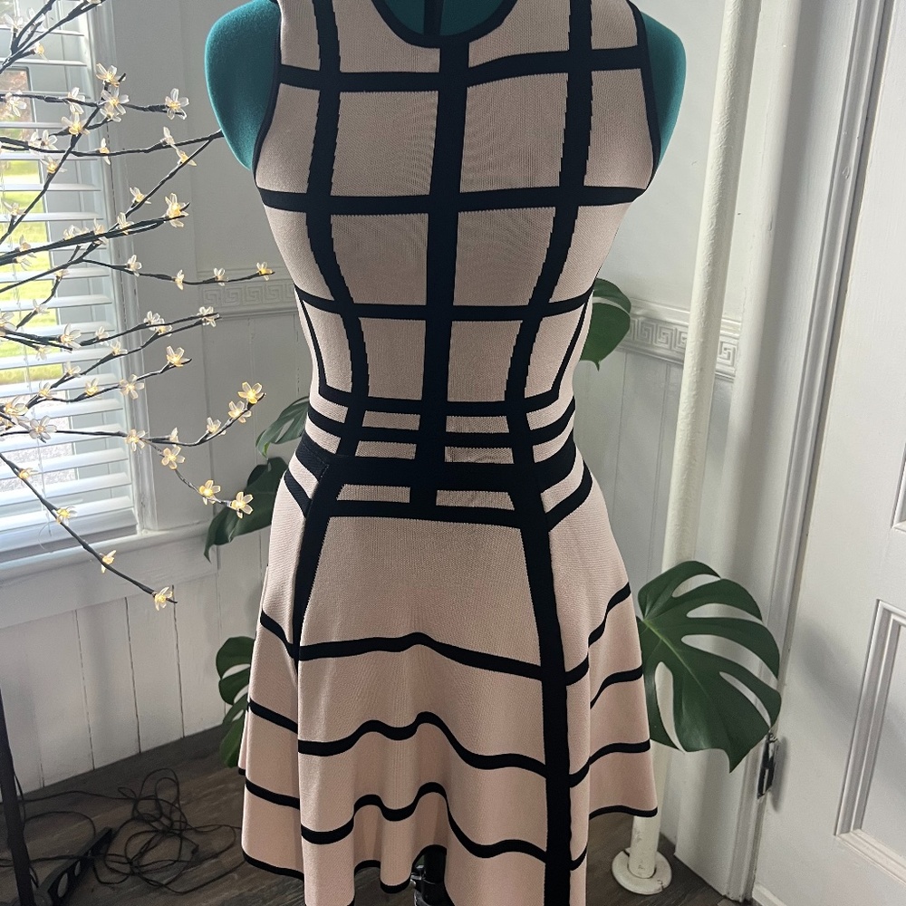 Torn by Ronny Kobo Blush and Black Windowpane Fit-and-Flare Mini Dress